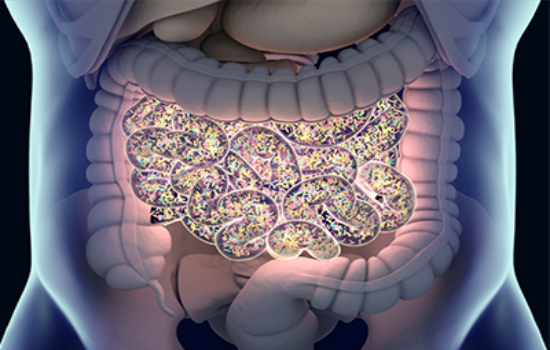 publication issue image