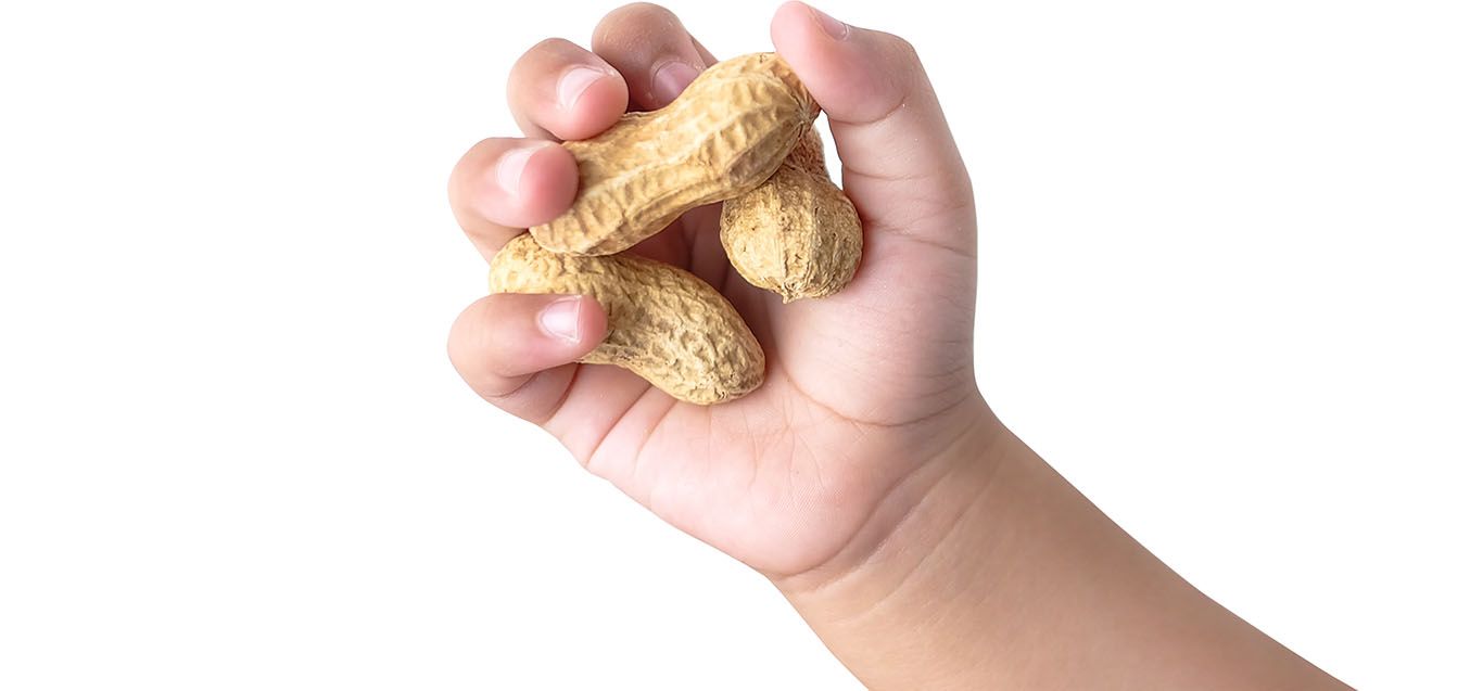 Peanut Allergies: Research Brings Hope to New Therapies