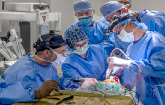 publication issue image