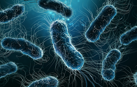 publication issue image