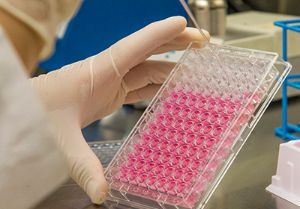 Biorepository Opens Doors to New Discoveries
