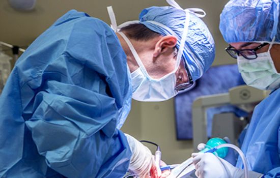 publication issue image